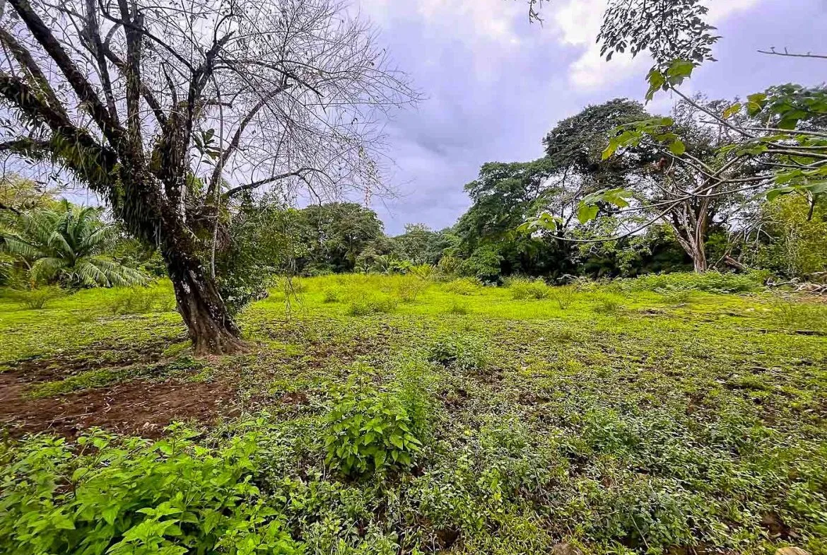 BUILDING PROPERTY WITH STEPS OF THE BEACH, IN LA COLONIA – 2.47 ACRES, photo 11
