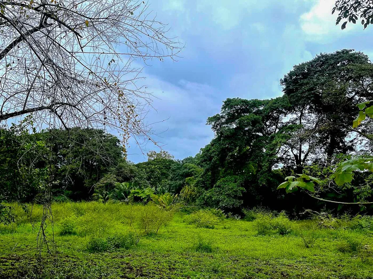 BUILDING PROPERTY WITH STEPS OF THE BEACH, IN LA COLONIA – 2.47 ACRES, photo 14