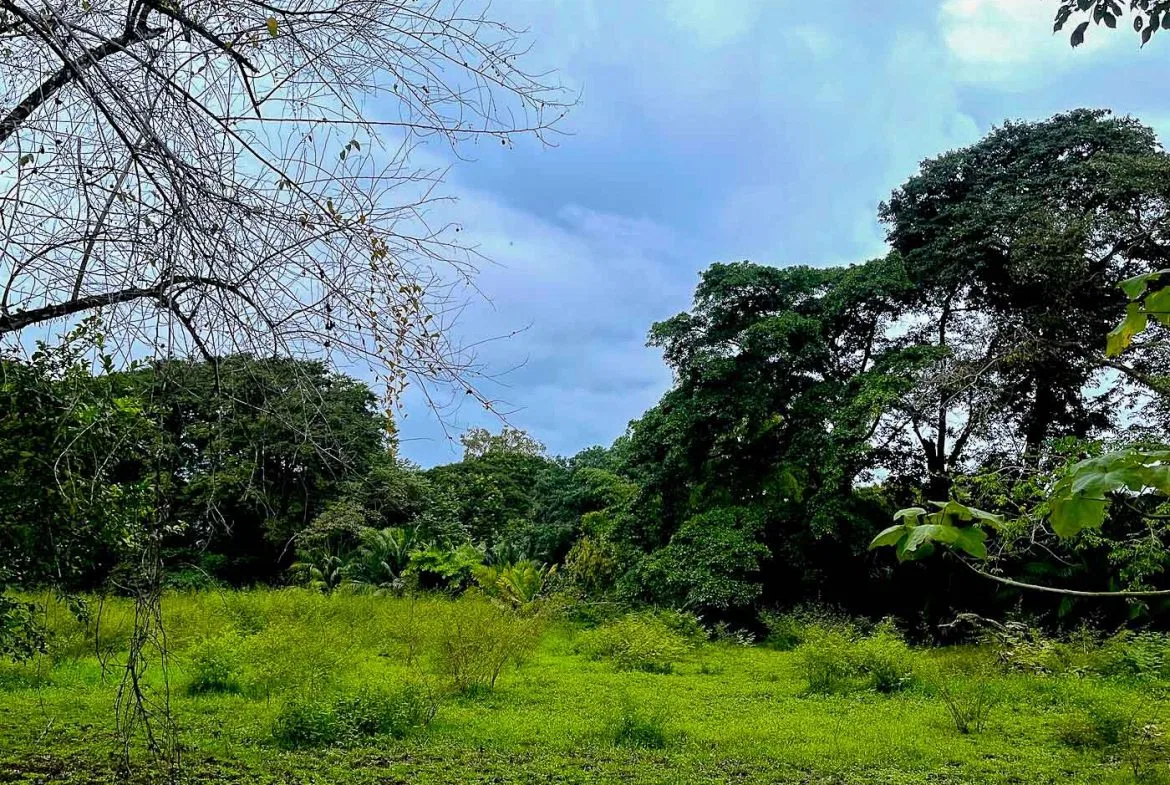 BUILDING PROPERTY WITH STEPS OF THE BEACH, IN LA COLONIA – 2.47 ACRES, photo 15
