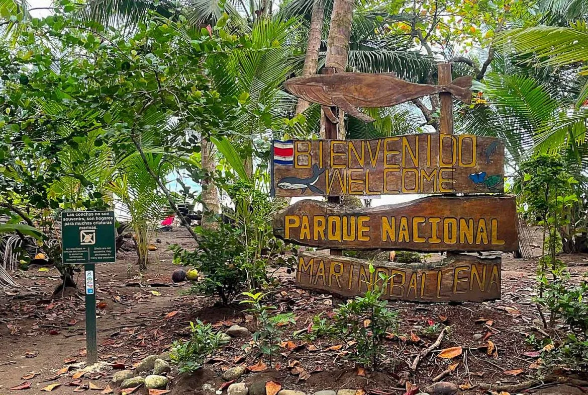 BUILDING PROPERTY WITH STEPS OF THE BEACH, IN LA COLONIA – 2.47 ACRES, photo 17