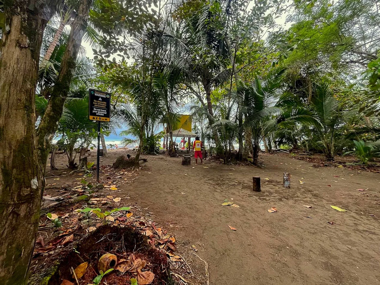 BUILDING PROPERTY WITH STEPS OF THE BEACH, IN LA COLONIA – 2.47 ACRES, photo 18