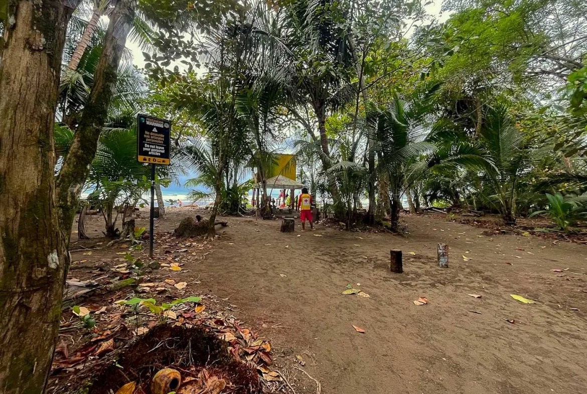 BUILDING PROPERTY WITH STEPS OF THE BEACH, IN LA COLONIA – 2.47 ACRES, photo 19