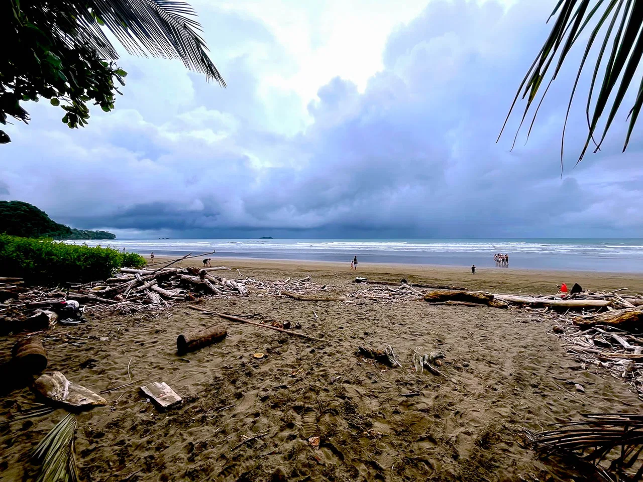 BUILDING PROPERTY WITH STEPS OF THE BEACH, IN LA COLONIA – 2.47 ACRES, photo 20