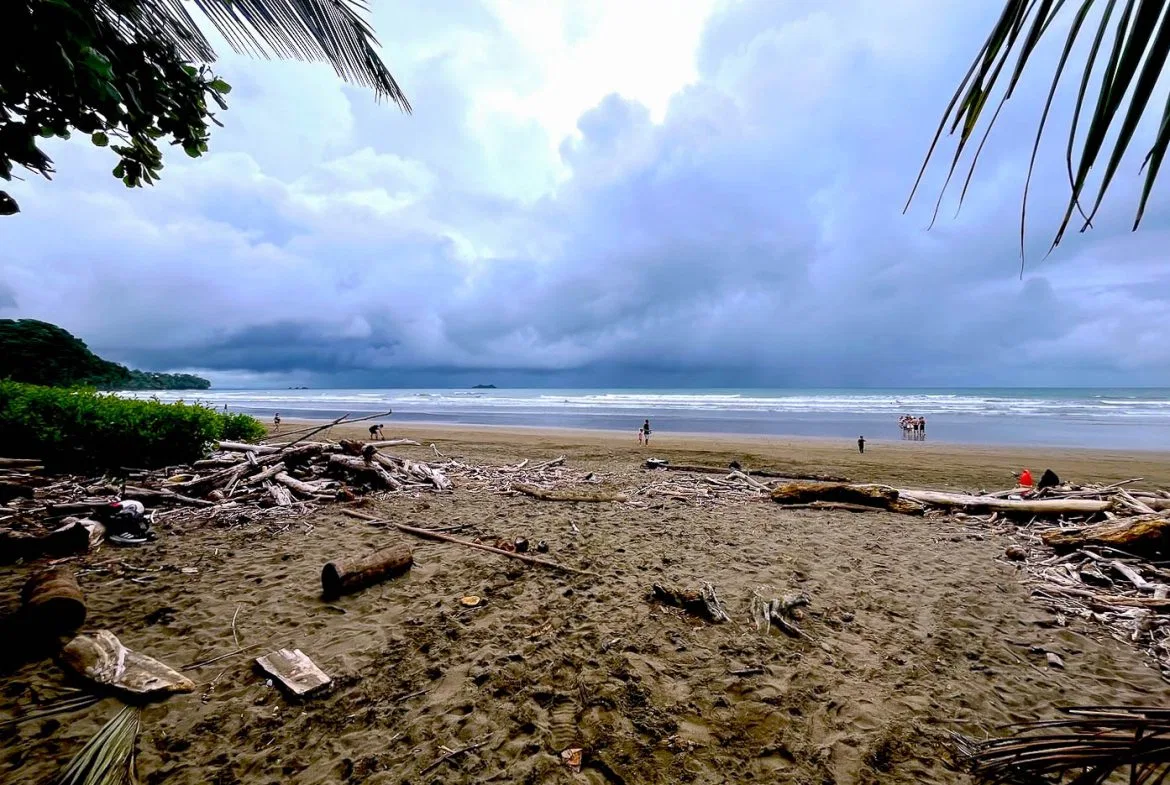 BUILDING PROPERTY WITH STEPS OF THE BEACH, IN LA COLONIA – 2.47 ACRES, photo 21