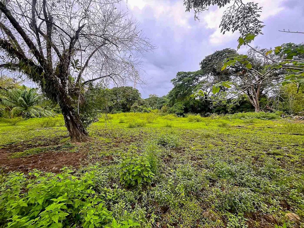 BUILDING PROPERTY WITH STEPS OF THE BEACH, IN LA COLONIA – 2.47 ACRES, photo 10
