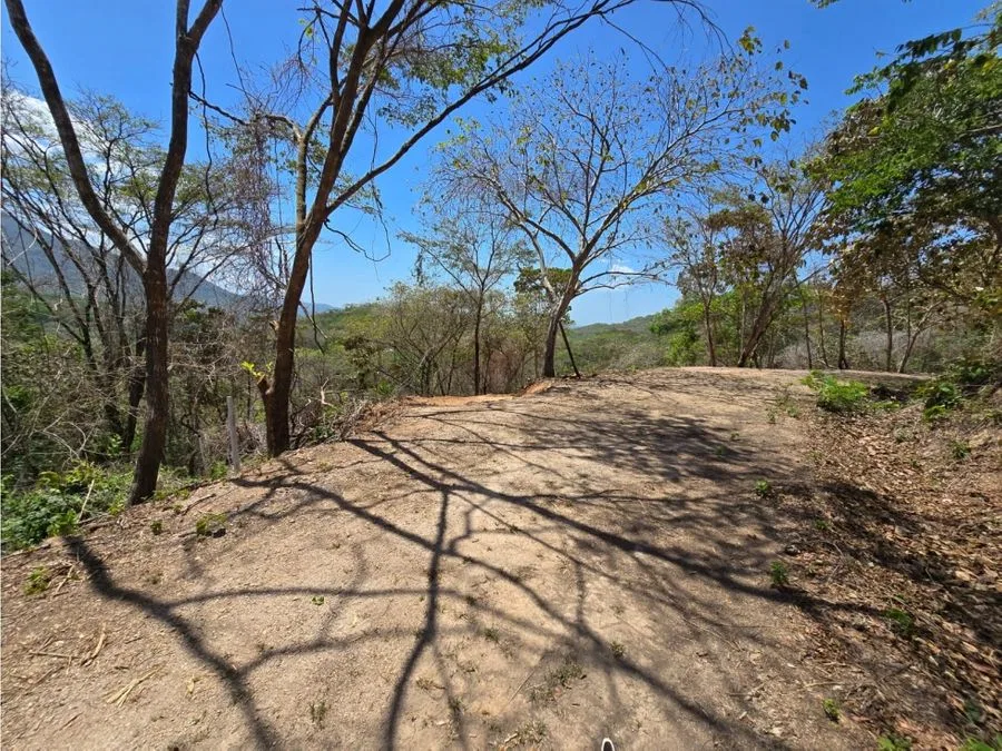Venta de Quinta con Bosque Primario No 115