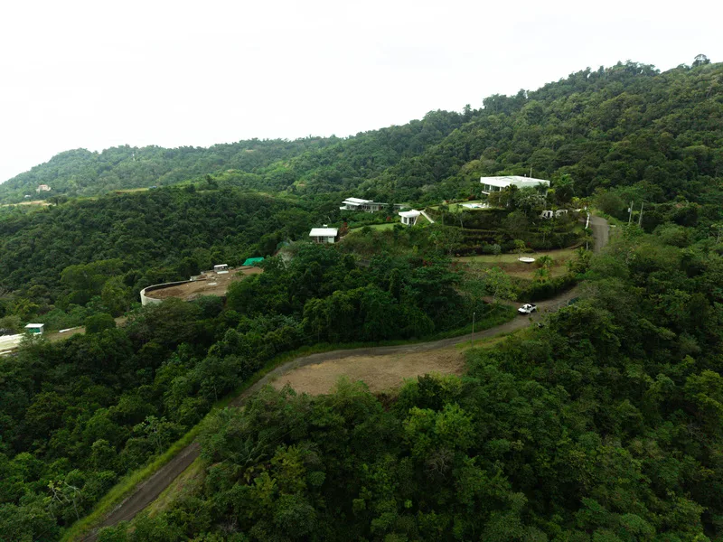 Land For Sale in Jaco