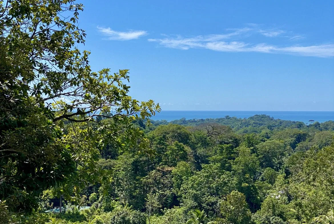 WHITE WATER & MOUNTAIN VIEW IN DESIRED OJOCHAL – 0.99 ACRES, photo 2