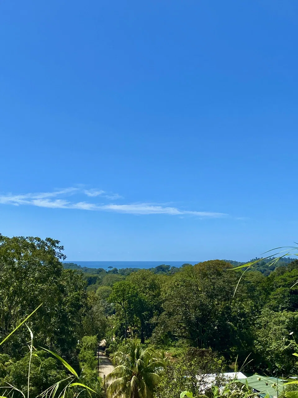 WHITE WATER & MOUNTAIN VIEW IN DESIRED OJOCHAL – 0.99 ACRES, photo 13