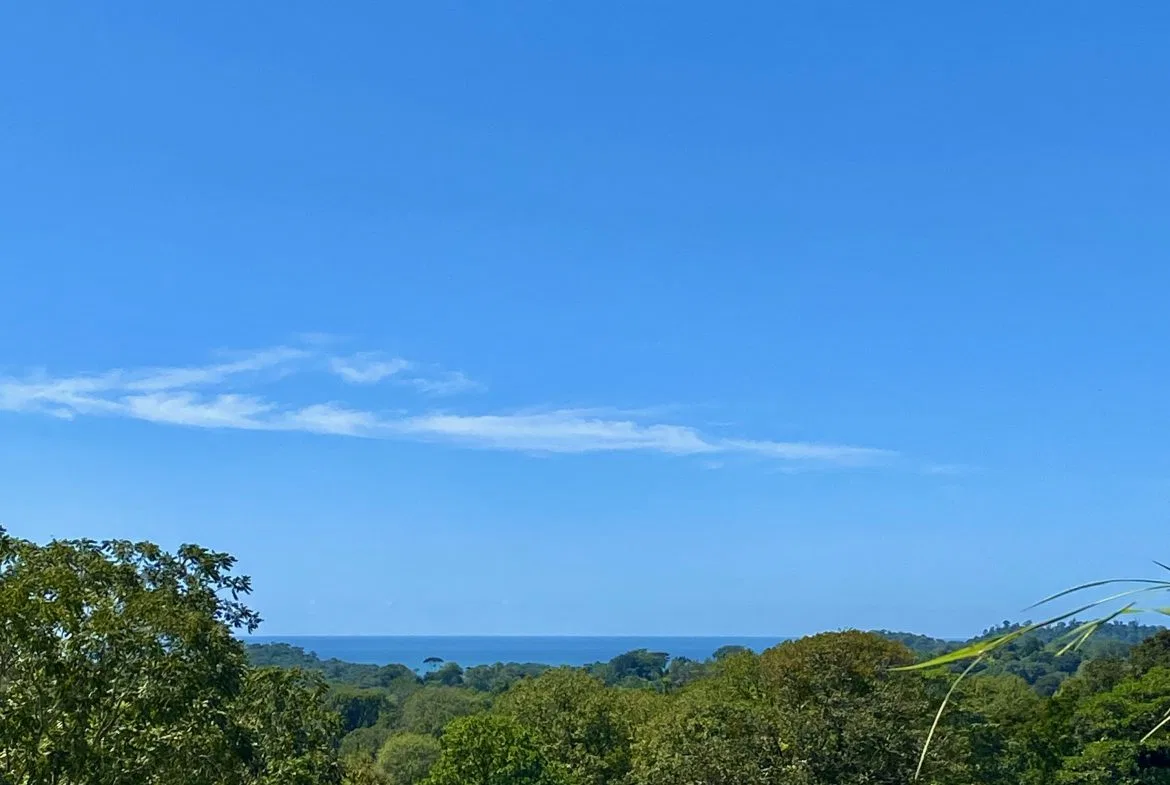 WHITE WATER & MOUNTAIN VIEW IN DESIRED OJOCHAL – 0.99 ACRES, photo 14