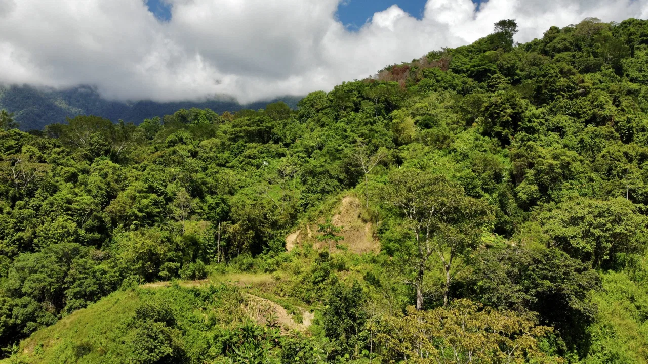 WHITE WATER & MOUNTAIN VIEW IN DESIRED OJOCHAL – 0.99 ACRES, photo 15