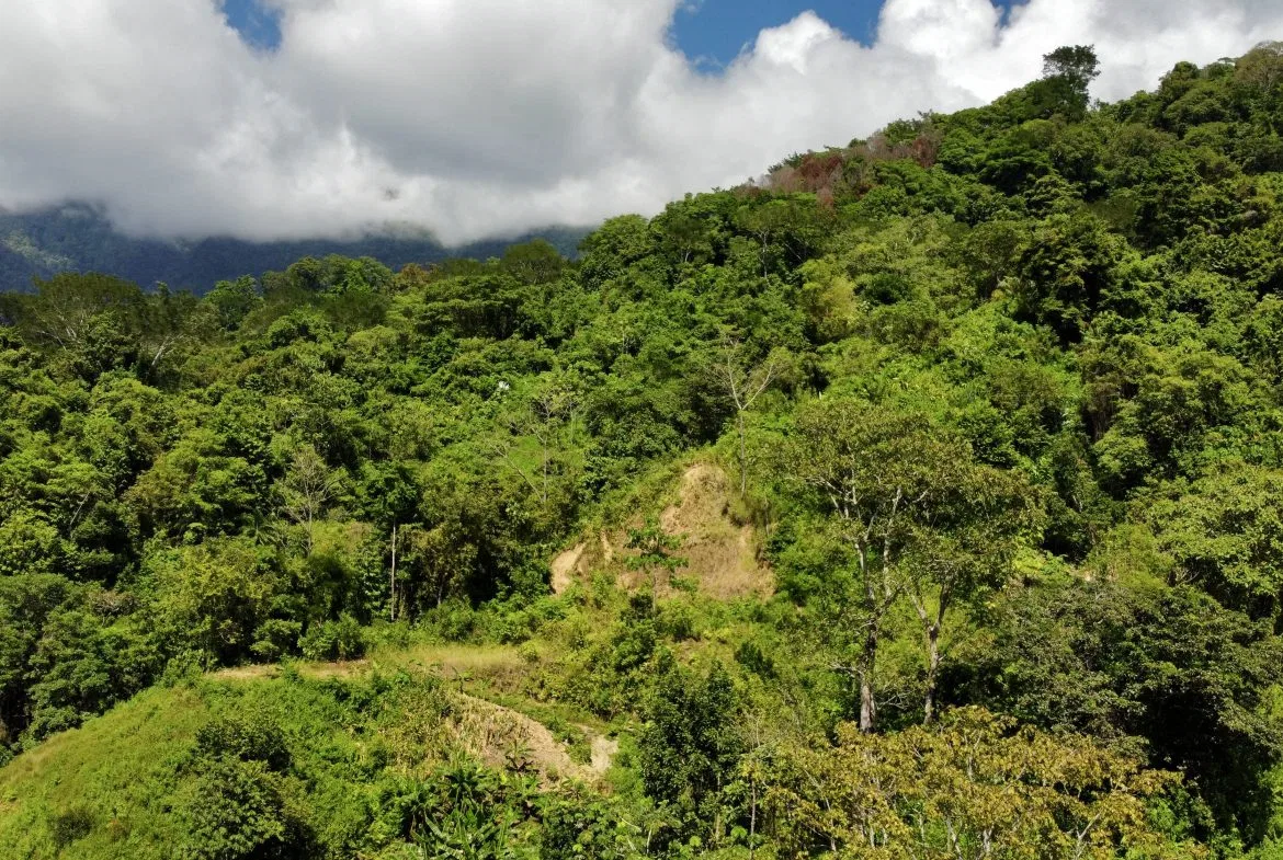 WHITE WATER & MOUNTAIN VIEW IN DESIRED OJOCHAL – 0.99 ACRES, photo 16