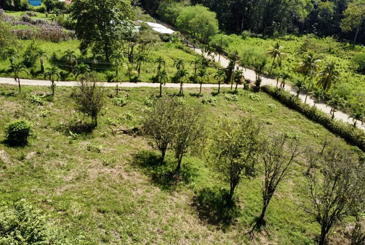 WHITE WATER & MOUNTAIN VIEW IN DESIRED OJOCHAL – 0.99 ACRES, photo 18