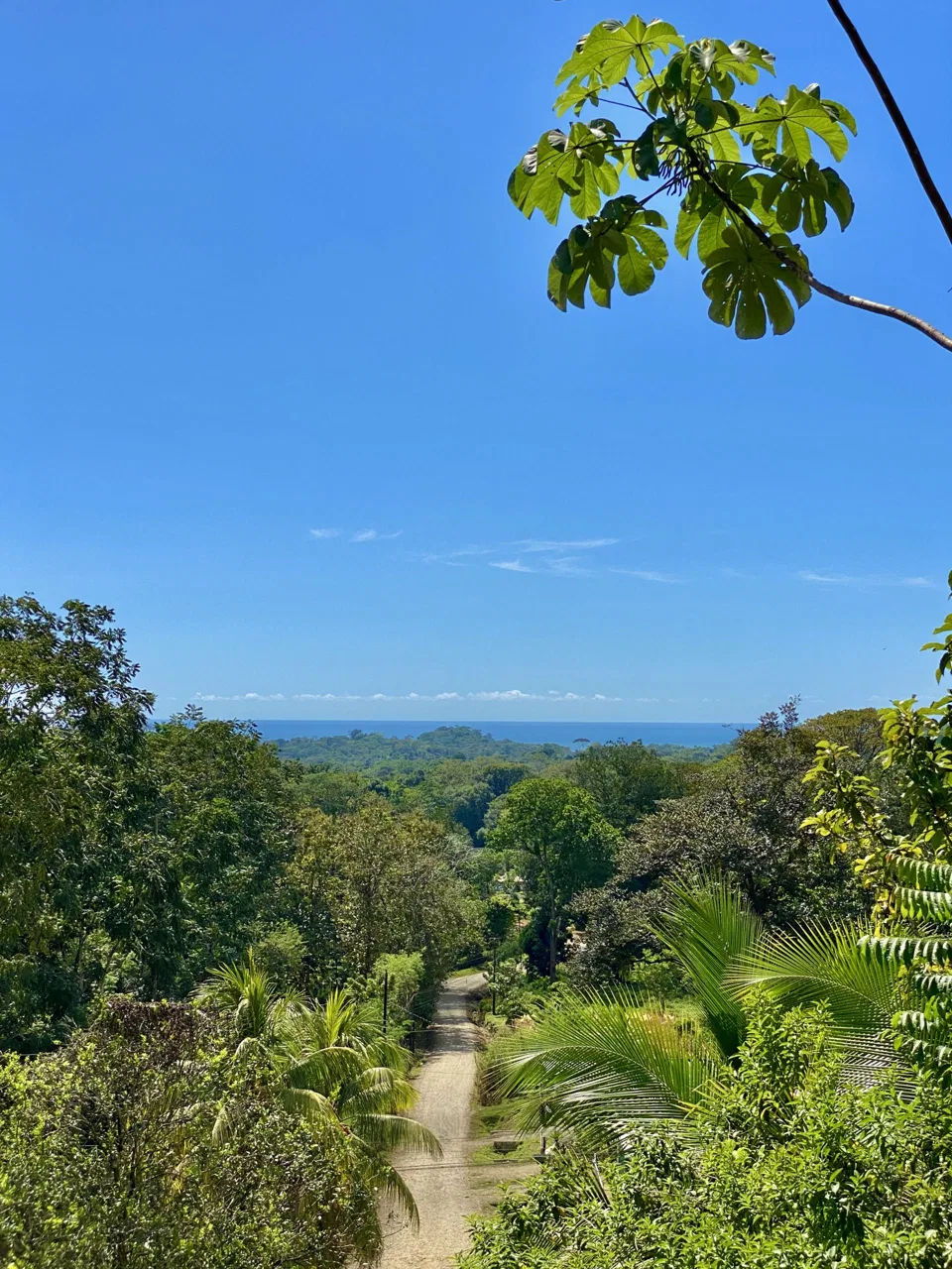 WHITE WATER & MOUNTAIN VIEW IN DESIRED OJOCHAL – 0.99 ACRES, photo 19