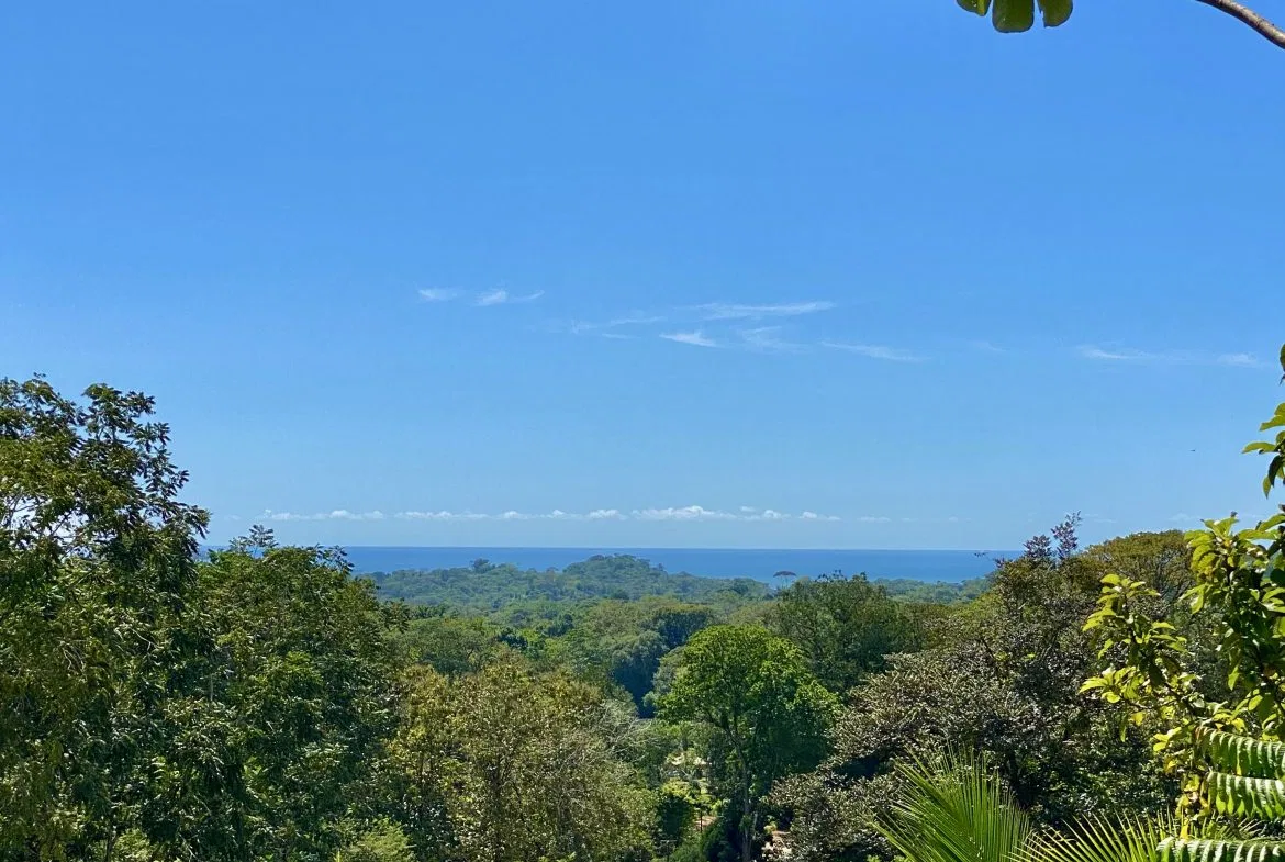 WHITE WATER & MOUNTAIN VIEW IN DESIRED OJOCHAL – 0.99 ACRES, photo 20