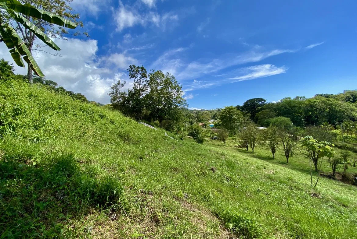 WHITE WATER & MOUNTAIN VIEW IN DESIRED OJOCHAL – 0.99 ACRES, photo 22
