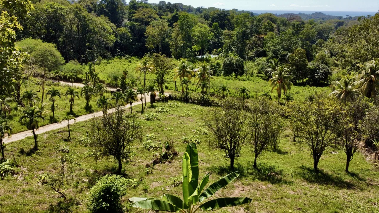 WHITE WATER & MOUNTAIN VIEW IN DESIRED OJOCHAL – 0.99 ACRES, photo 5