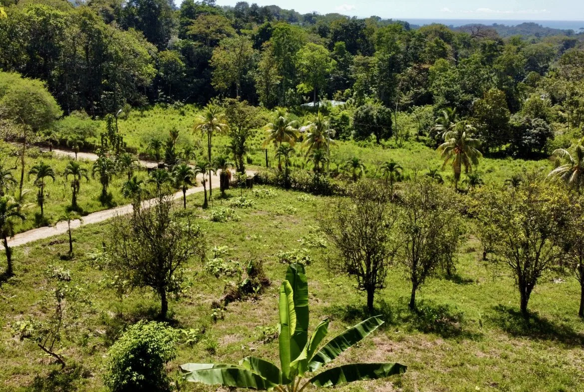 WHITE WATER & MOUNTAIN VIEW IN DESIRED OJOCHAL – 0.99 ACRES, photo 6