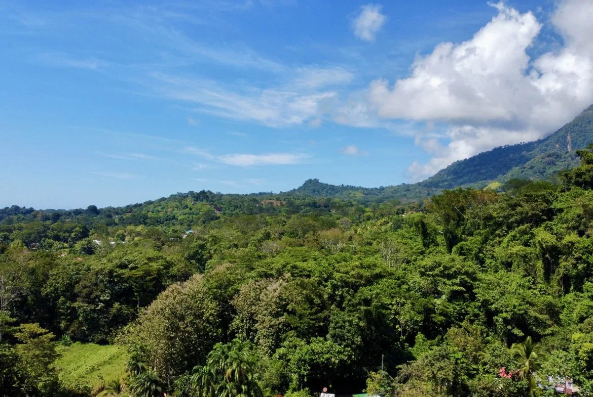 WHITE WATER & MOUNTAIN VIEW IN DESIRED OJOCHAL – 0.99 ACRES, photo 8