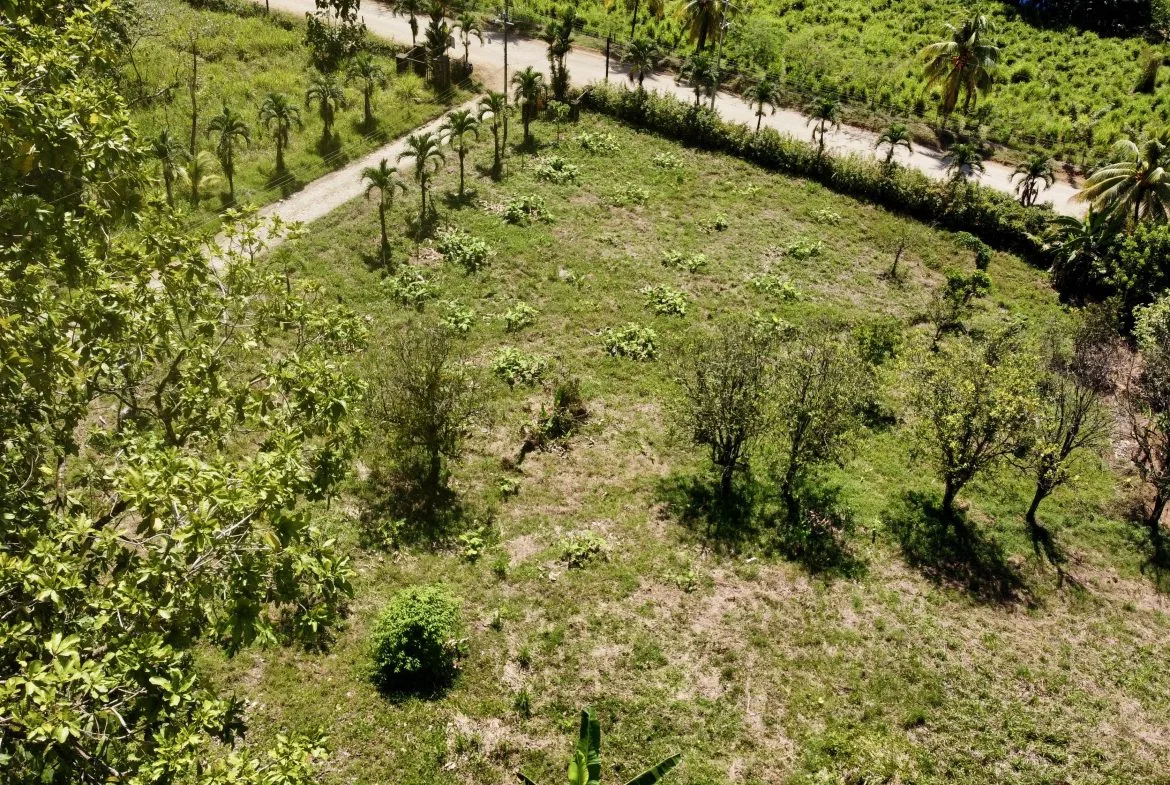 WHITE WATER & MOUNTAIN VIEW IN DESIRED OJOCHAL – 0.99 ACRES, photo 10