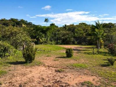 Prime Development Land With Stunning Ocean And Mountain Views In Ojochal, Costa Rica, photo 9