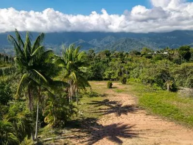 Prime Development Land With Stunning Ocean And Mountain Views In Ojochal, Costa Rica, photo 10