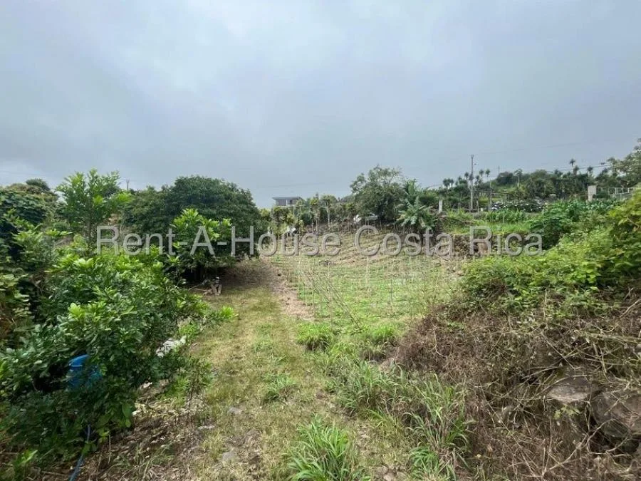 Lote de 300 m2 con excelente topografia en Los Angeles de San Rafael RAH 231670 - Venta en San Rafael, photo 11