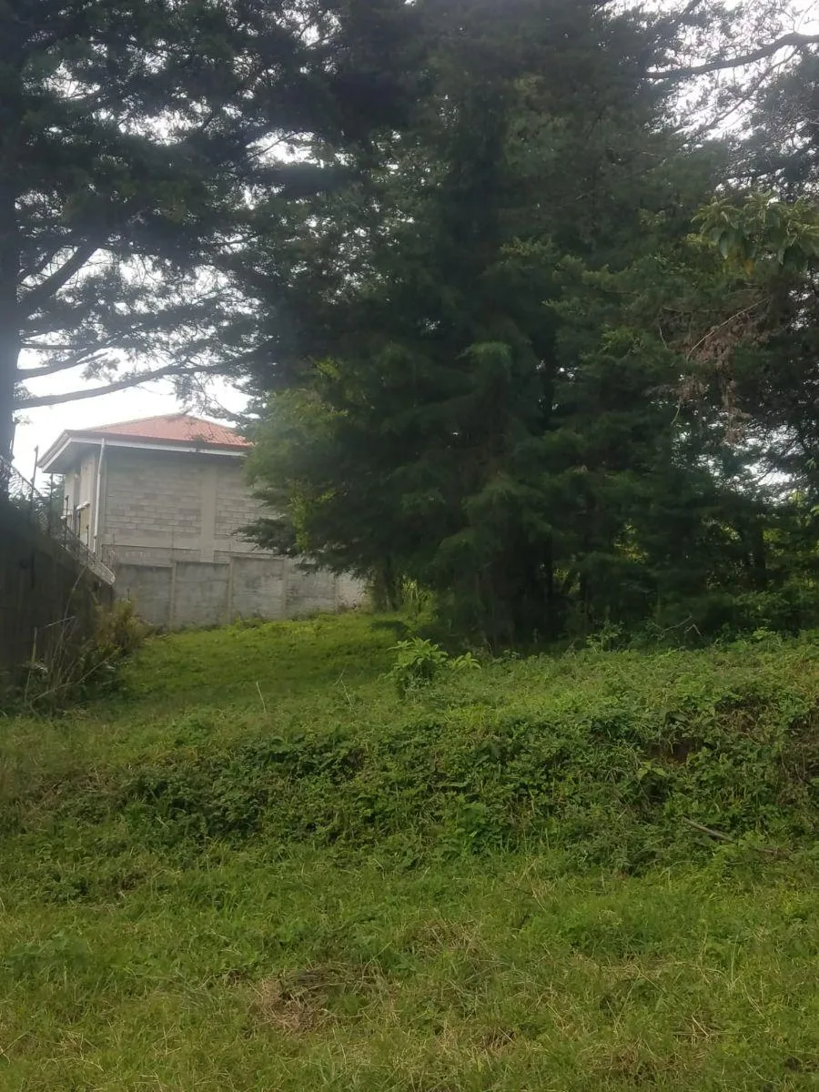 Lote de 300 m2 con excelente topografia en Los Angeles de San Rafael RAH 231670 - Venta en San Rafael, photo 3