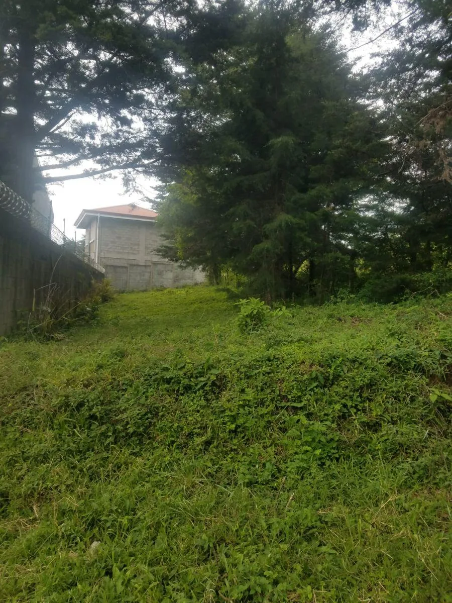 Lote de 300 m2 con excelente topografia en Los Angeles de San Rafael RAH 231670 - Venta en San Rafael, photo 4