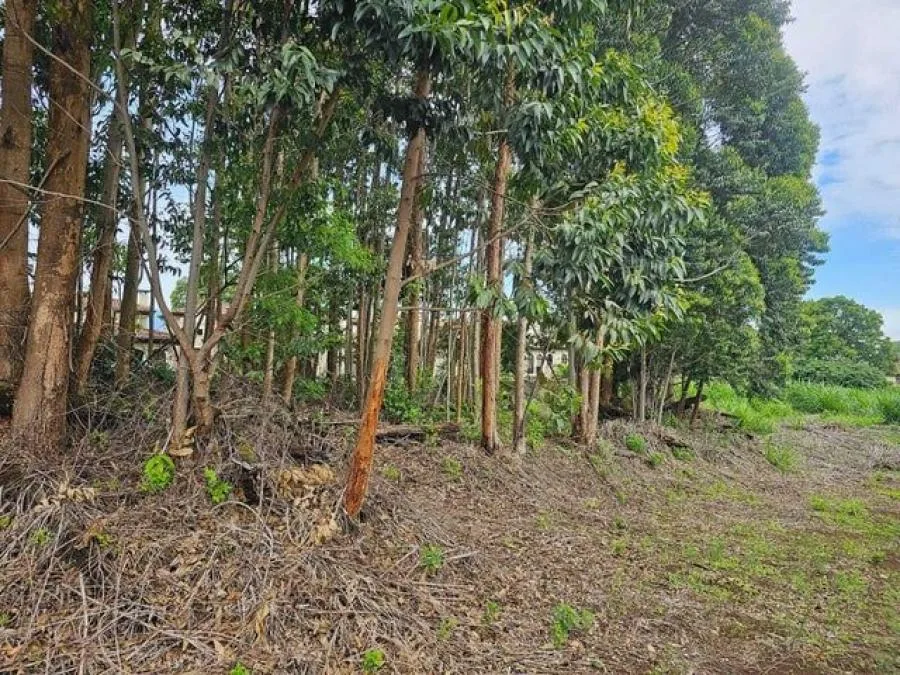 Lote de 300 m2 con excelente topografia en Los Angeles de San Rafael RAH 231670 - Venta en San Rafael, photo 10