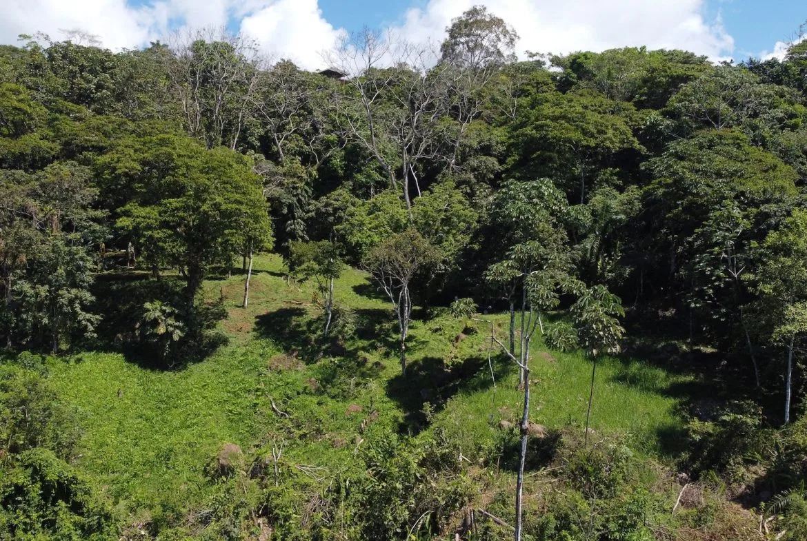 BUILDING PROPERTY WITH STELLAR OCEAN VIEWS, IN ESCALERAS – 5.8 ACRES, photo 2