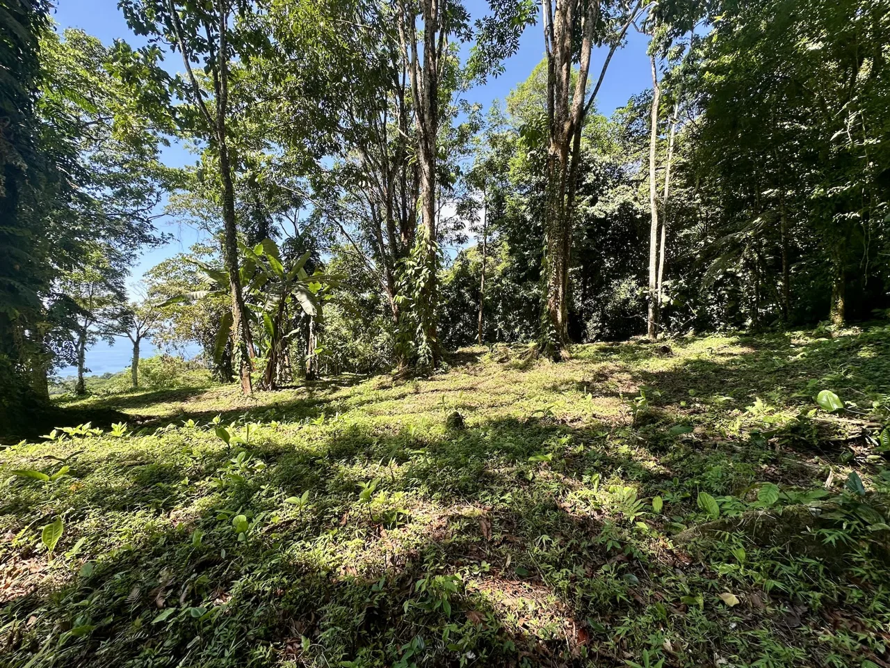 BUILDING PROPERTY WITH STELLAR OCEAN VIEWS, IN ESCALERAS – 5.8 ACRES, photo 13