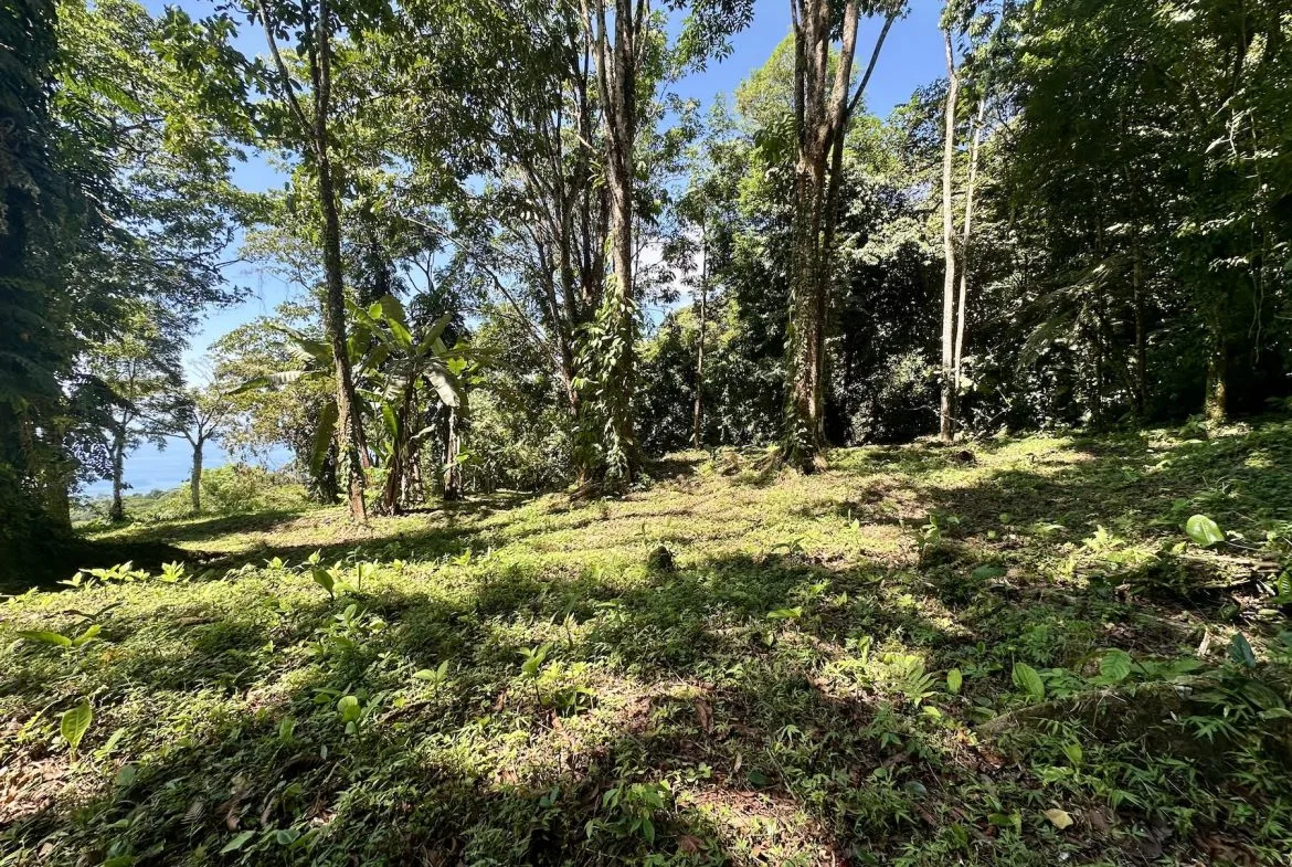 BUILDING PROPERTY WITH STELLAR OCEAN VIEWS, IN ESCALERAS – 5.8 ACRES, photo 14