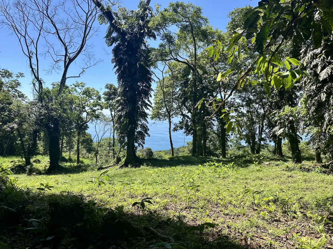 BUILDING PROPERTY WITH STELLAR OCEAN VIEWS, IN ESCALERAS – 5.8 ACRES, photo 15
