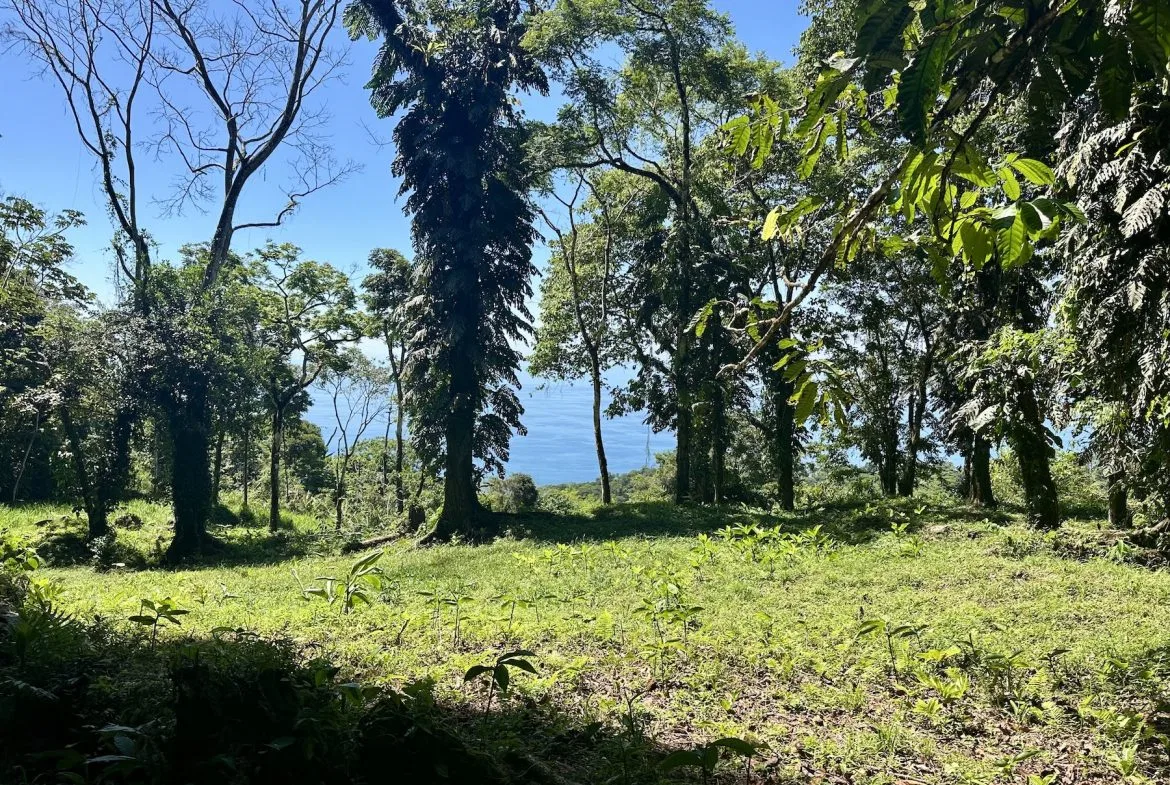 BUILDING PROPERTY WITH STELLAR OCEAN VIEWS, IN ESCALERAS – 5.8 ACRES, photo 16