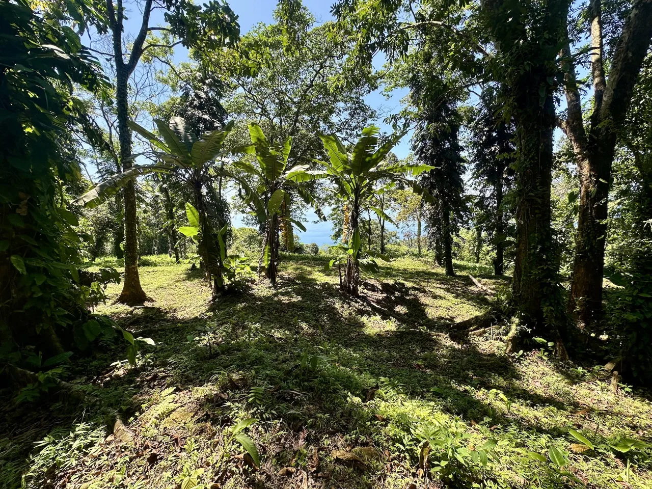 BUILDING PROPERTY WITH STELLAR OCEAN VIEWS, IN ESCALERAS – 5.8 ACRES, photo 17