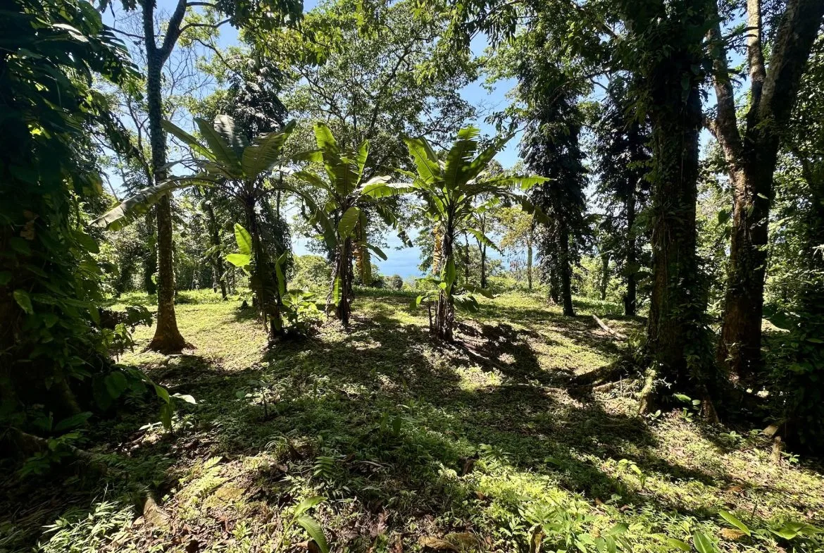 BUILDING PROPERTY WITH STELLAR OCEAN VIEWS, IN ESCALERAS – 5.8 ACRES, photo 18