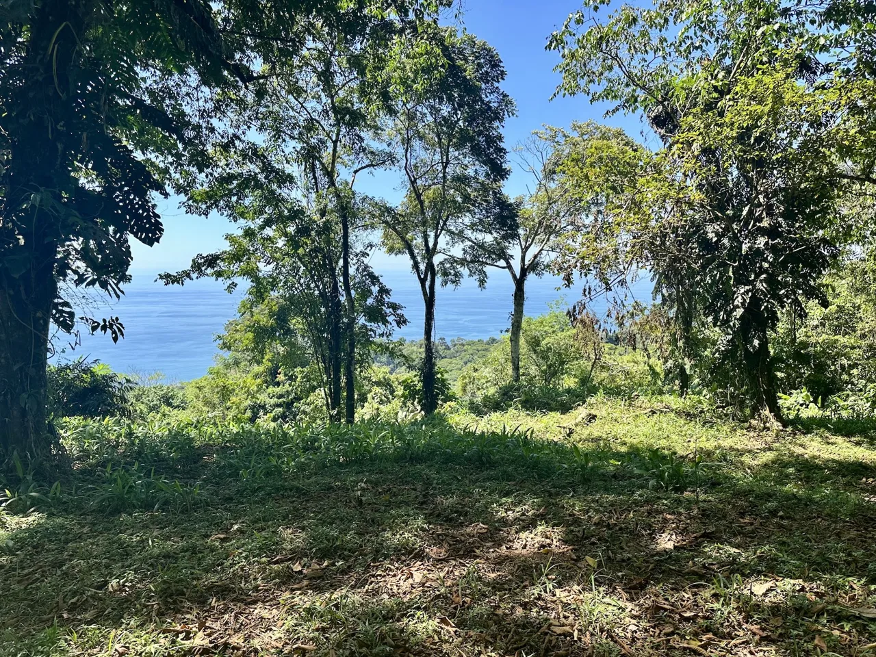 BUILDING PROPERTY WITH STELLAR OCEAN VIEWS, IN ESCALERAS – 5.8 ACRES, photo 19