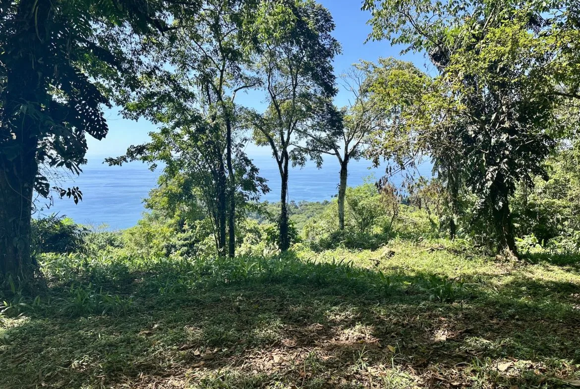 BUILDING PROPERTY WITH STELLAR OCEAN VIEWS, IN ESCALERAS – 5.8 ACRES, photo 20