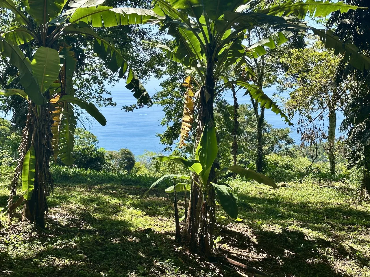 BUILDING PROPERTY WITH STELLAR OCEAN VIEWS, IN ESCALERAS – 5.8 ACRES, photo 23