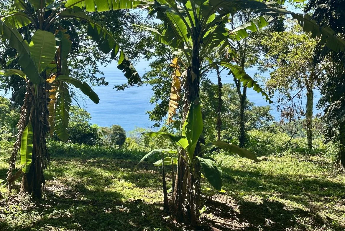 BUILDING PROPERTY WITH STELLAR OCEAN VIEWS, IN ESCALERAS – 5.8 ACRES, photo 24