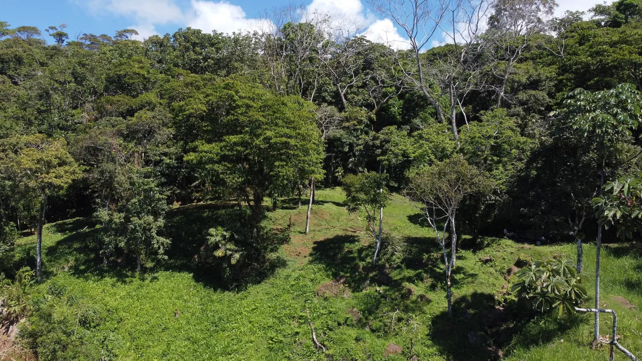 BUILDING PROPERTY WITH STELLAR OCEAN VIEWS, IN ESCALERAS – 5.8 ACRES, photo 5