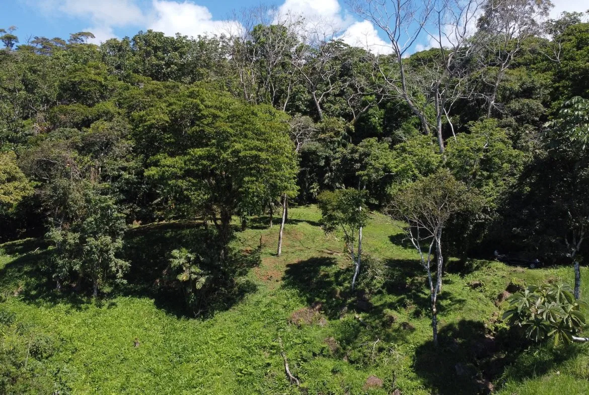 BUILDING PROPERTY WITH STELLAR OCEAN VIEWS, IN ESCALERAS – 5.8 ACRES, photo 6