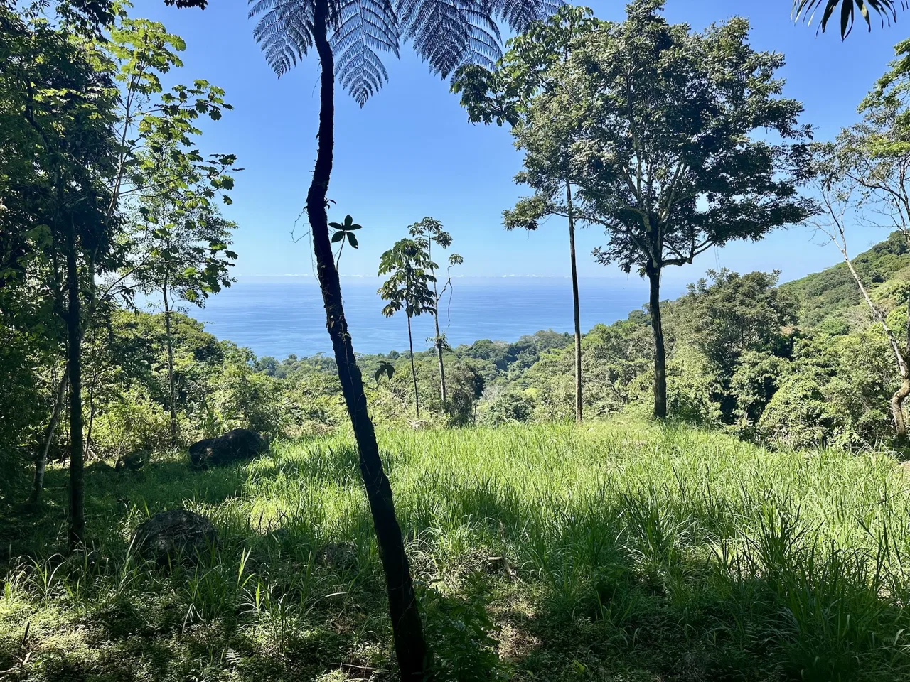 BUILDING PROPERTY WITH STELLAR OCEAN VIEWS, IN ESCALERAS – 5.8 ACRES, photo 9