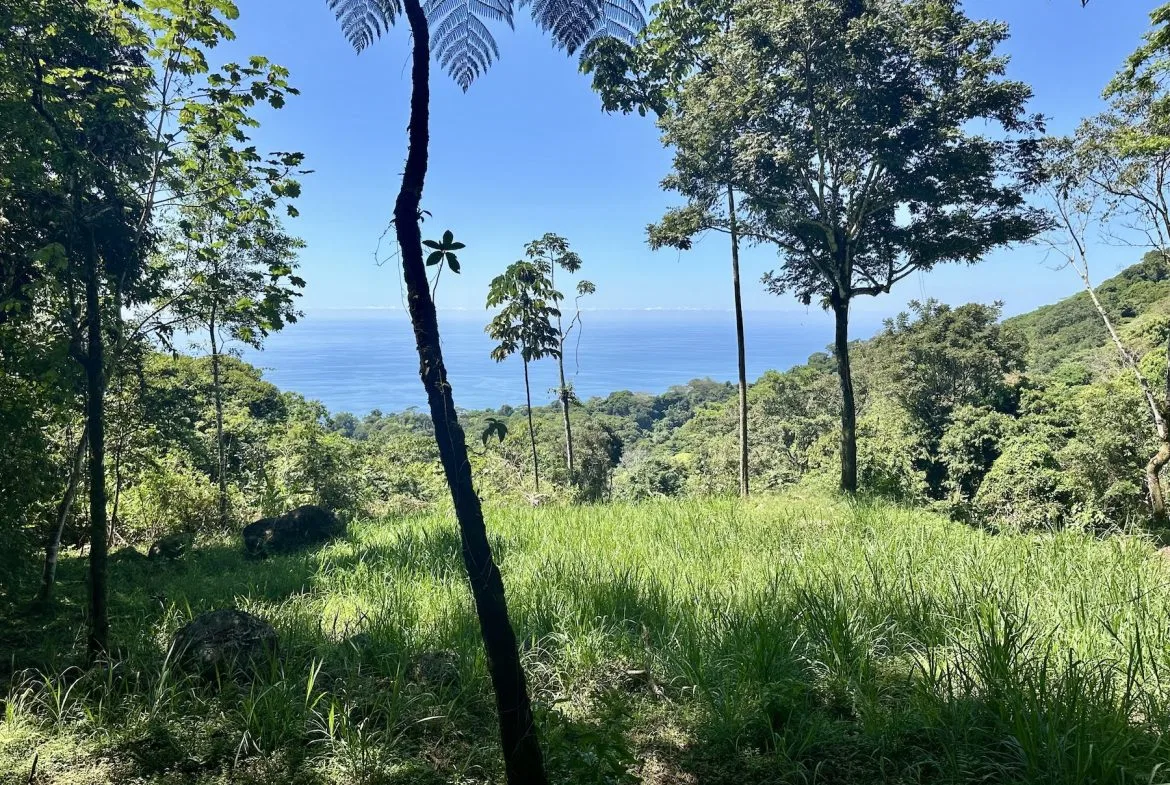 BUILDING PROPERTY WITH STELLAR OCEAN VIEWS, IN ESCALERAS – 5.8 ACRES, photo 10