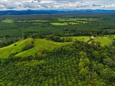 Descubra un rancho cerca de Palmar, Costa Rica, con casa, cabaña, pastos y potencial de desarrollo.