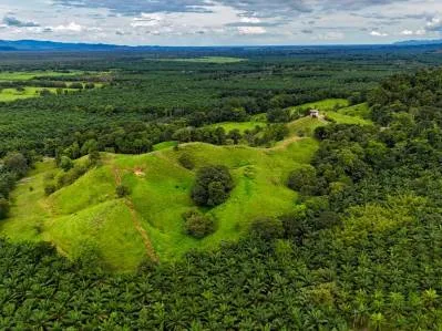 Descubra un rancho cerca de Palmar, Costa Rica, con casa, cabaña, pastos y potencial de desarrollo., photo 6