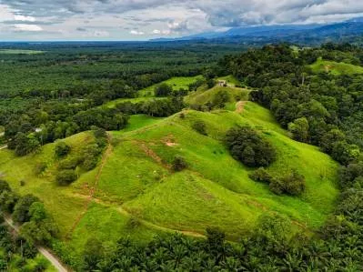 Descubra un rancho cerca de Palmar, Costa Rica, con casa, cabaña, pastos y potencial de desarrollo., photo 7