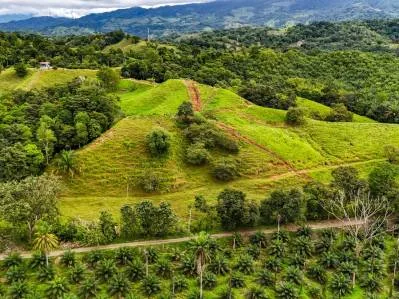 Descubra un rancho cerca de Palmar, Costa Rica, con casa, cabaña, pastos y potencial de desarrollo., photo 8