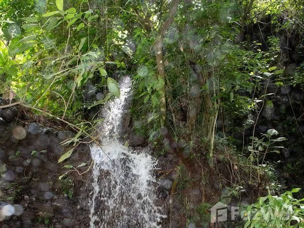 Land for Sale in Perez Zeledon, San Jose for $825,000, photo 13